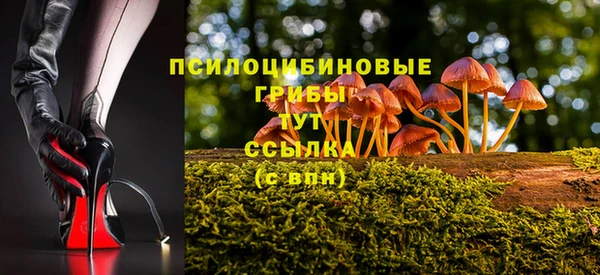 гидра Абдулино