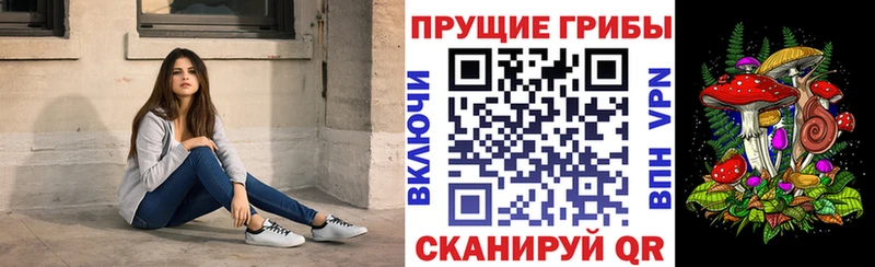 наркота  Абаза  Псилоцибиновые грибы Psilocybine cubensis 